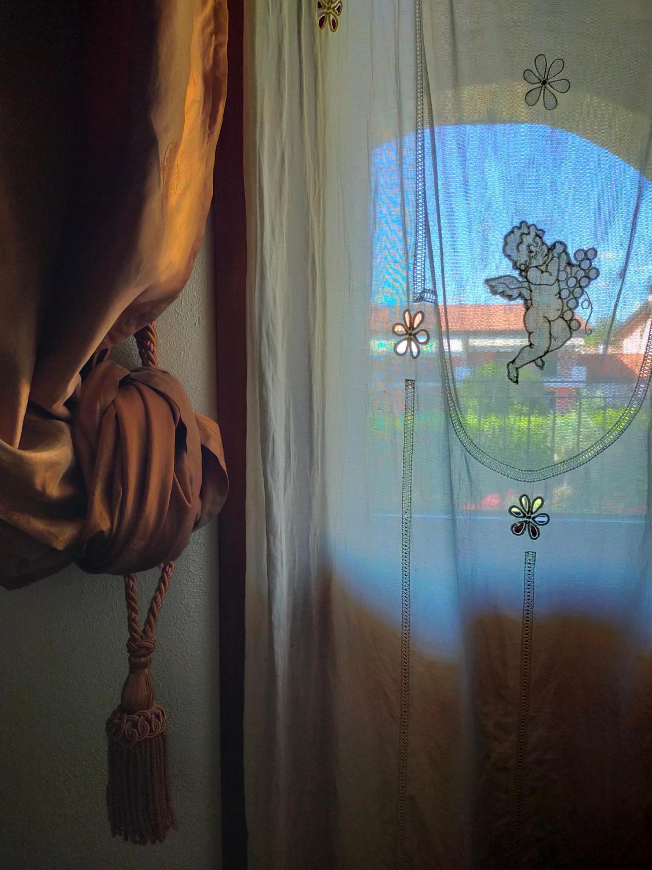 Damabianca, photo 30