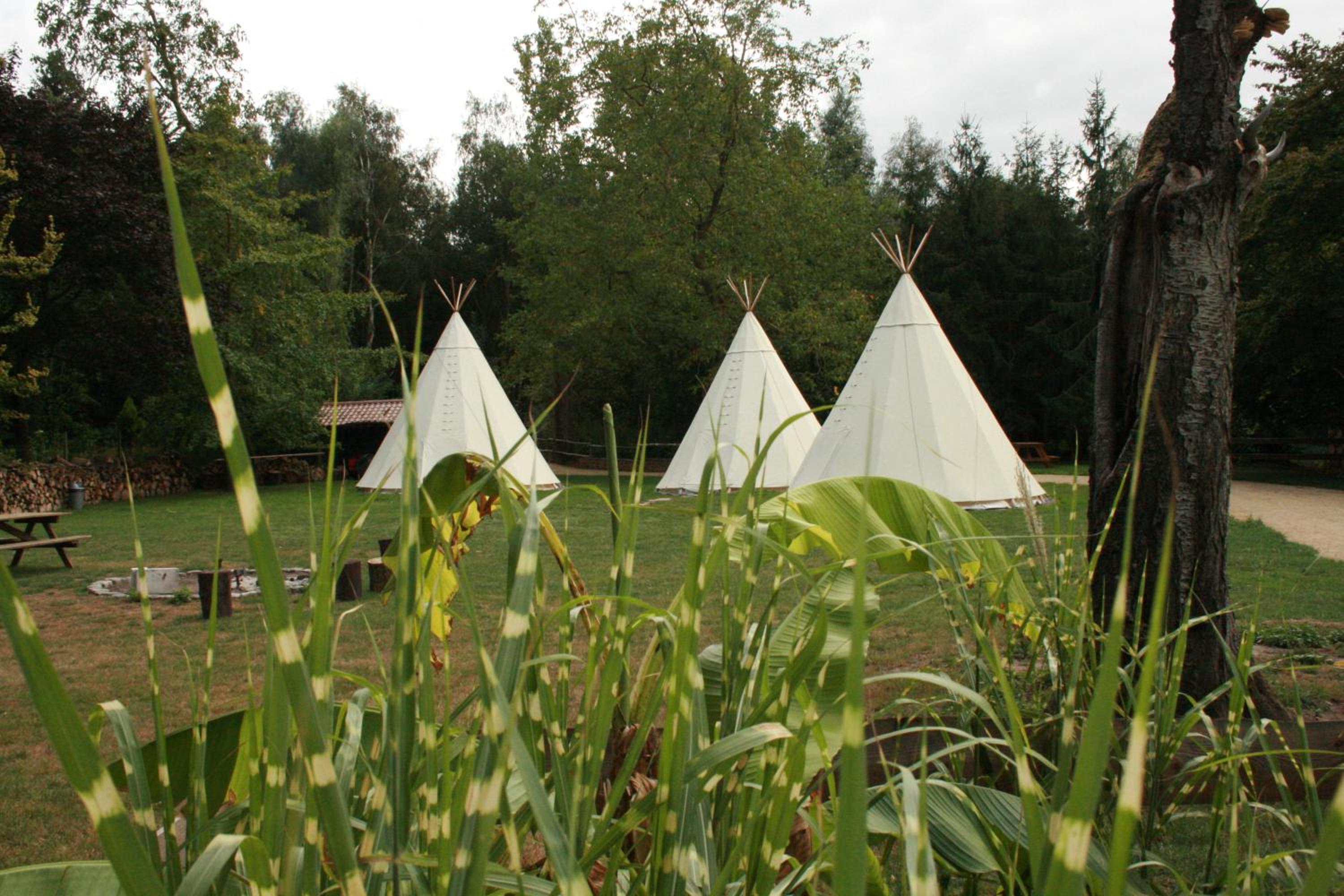 Domaine de Carnin
