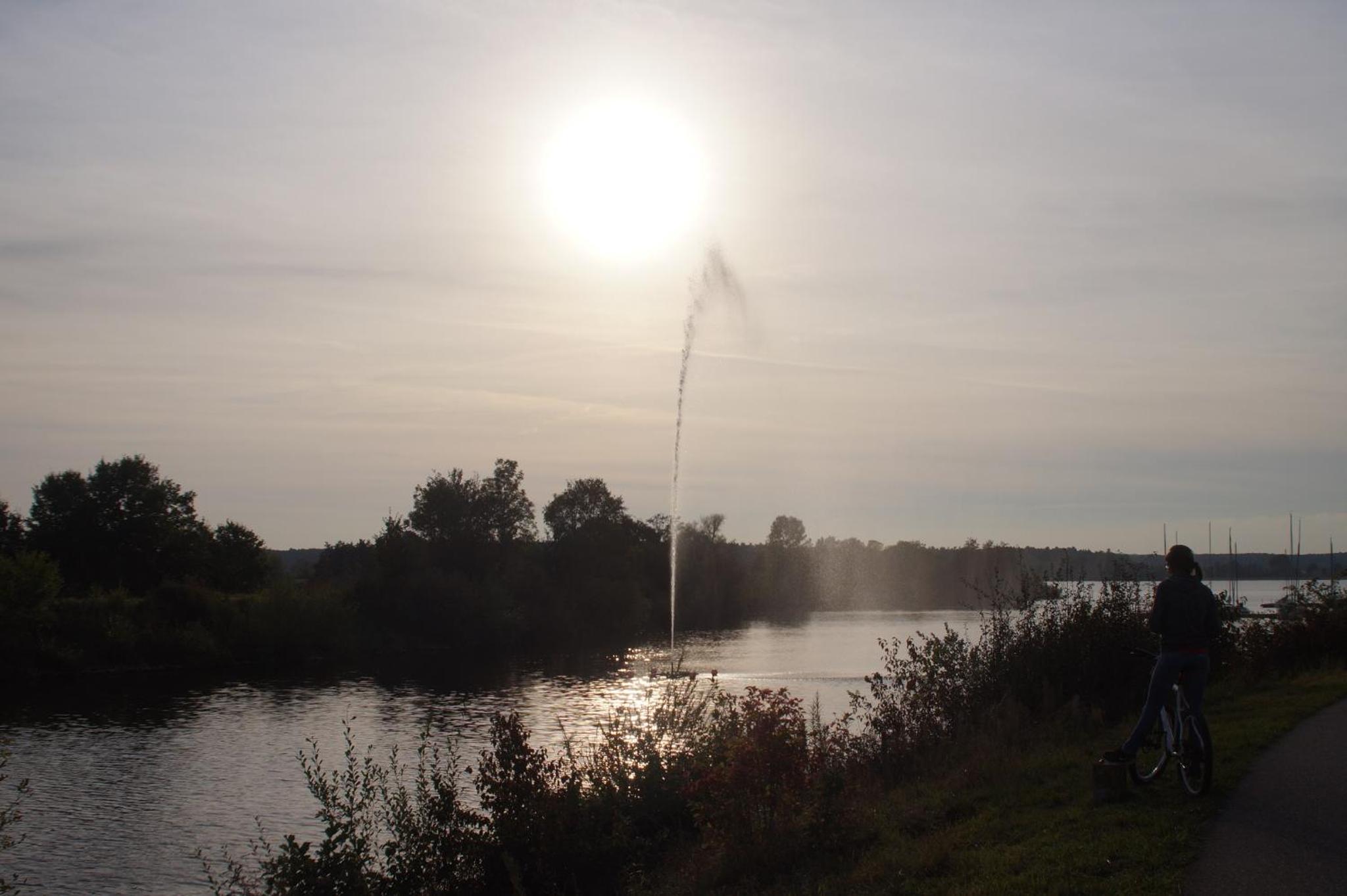 Photo 45
