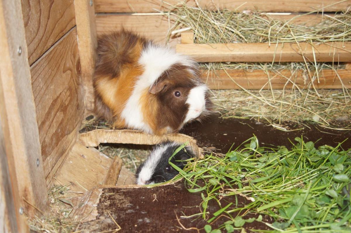 Photo 29