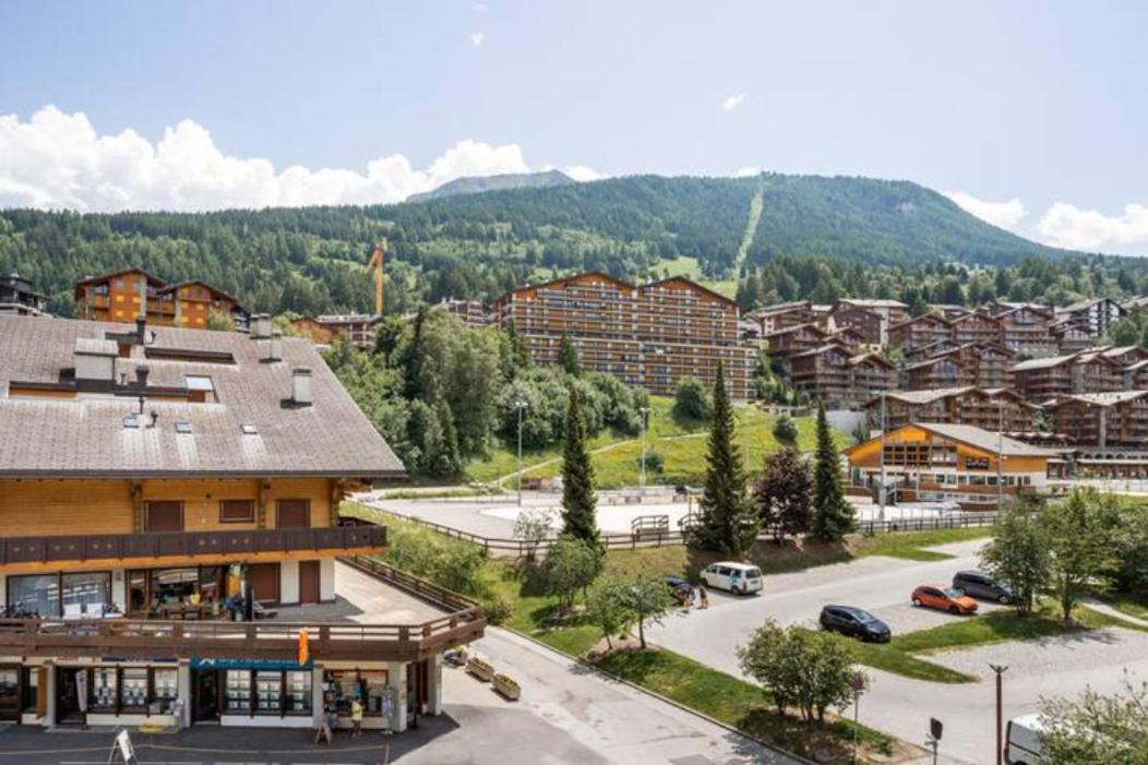 Center of Nendaz ! Apartment 2 rooms with balcony view 4