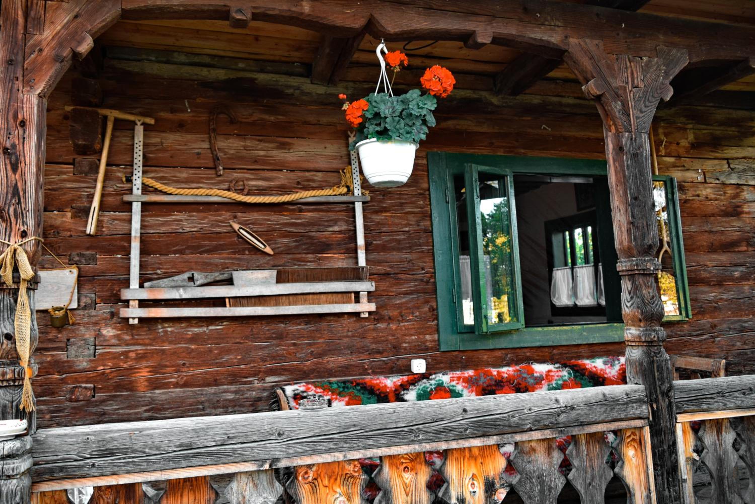 Photo 42
