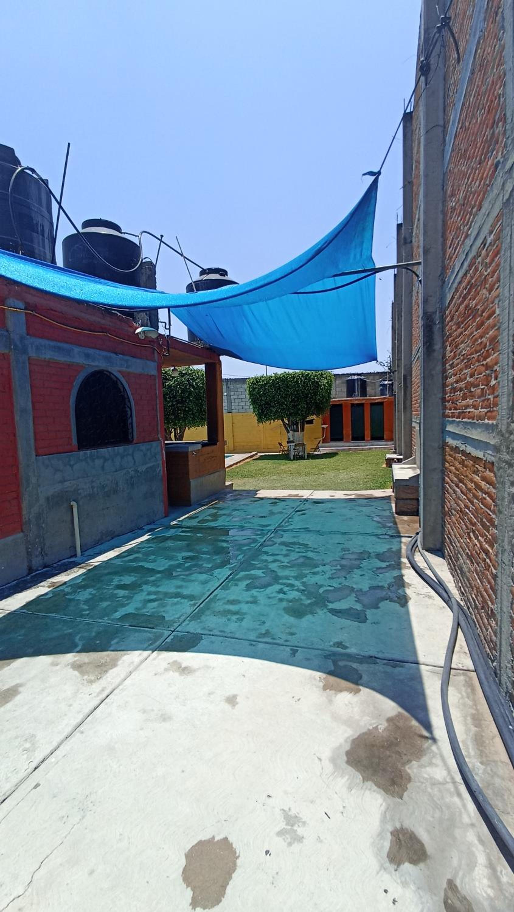 Photo 10