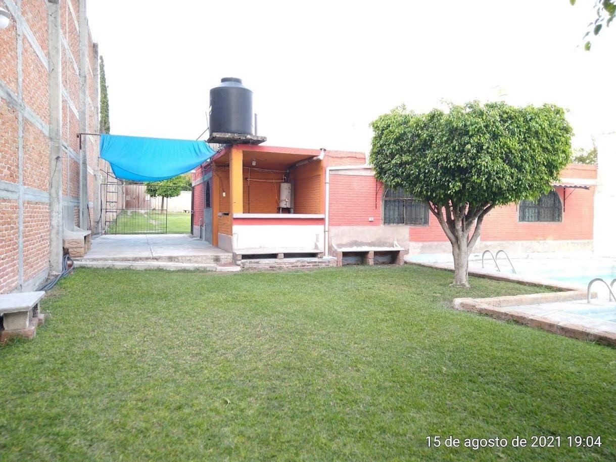 Photo 11