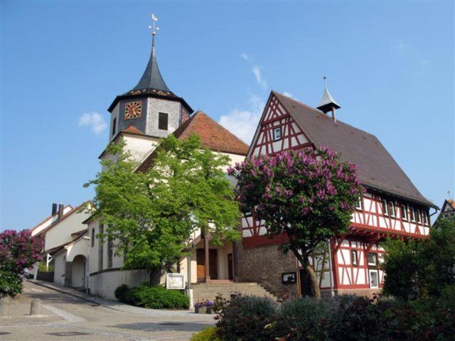 Photo 16