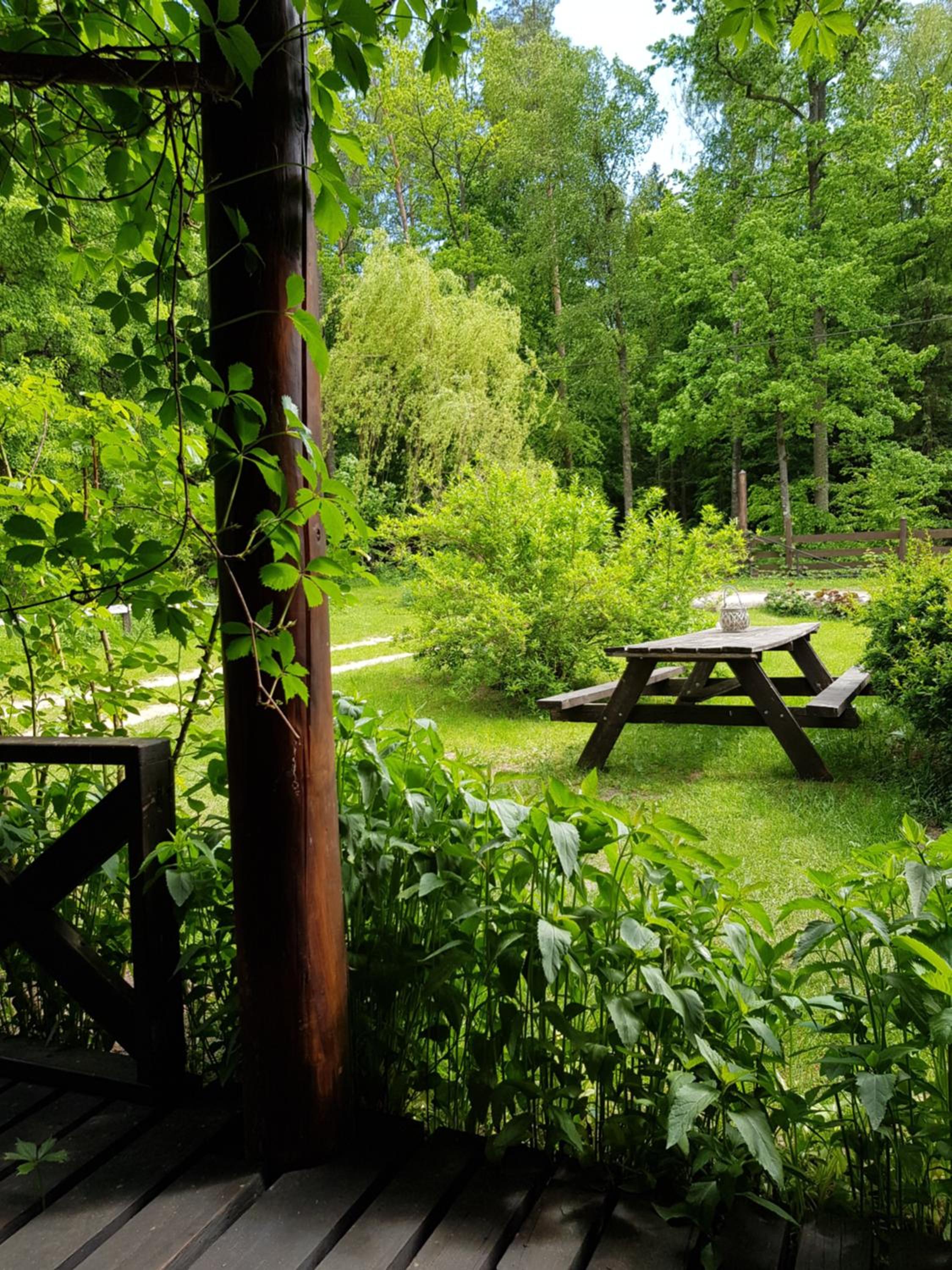Photo 45