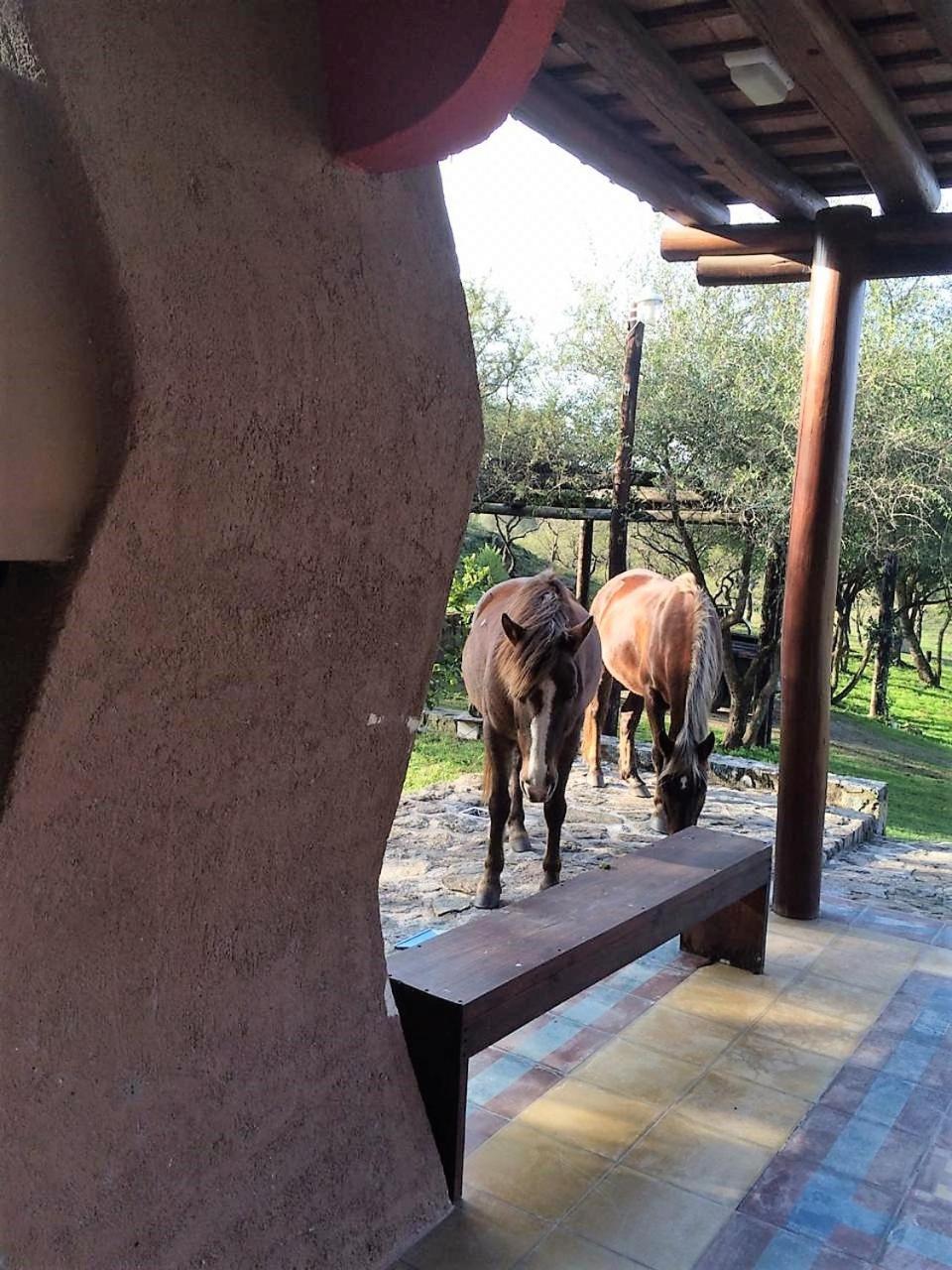 Casa de campo - piedra