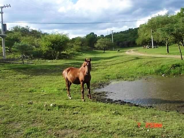 Casa de campo - piedra