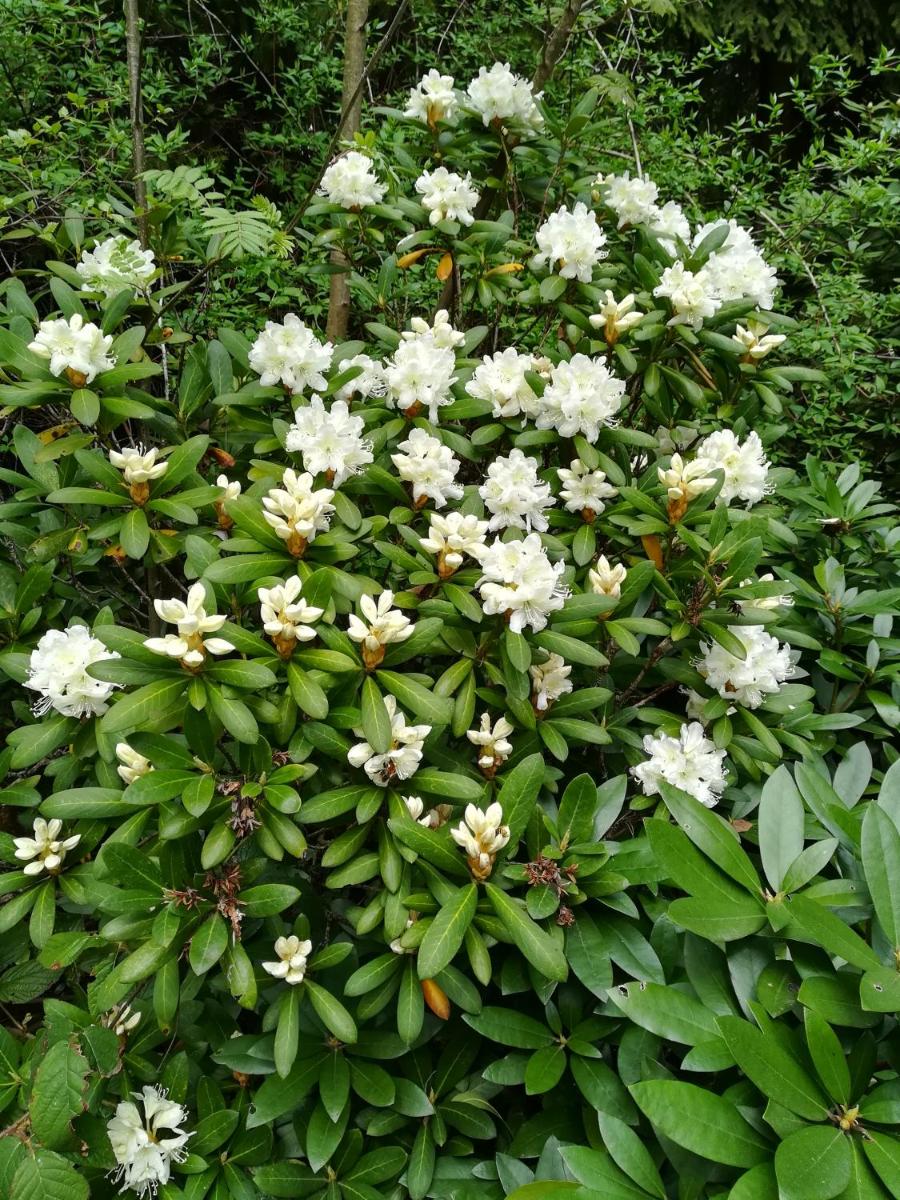 Photo 26