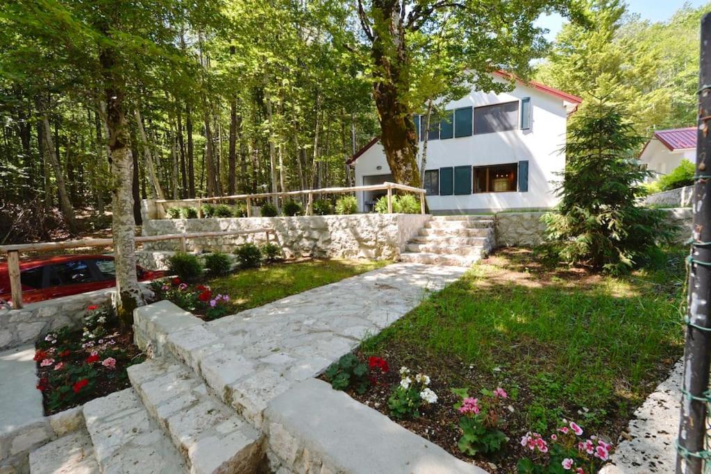 Forest house view 2