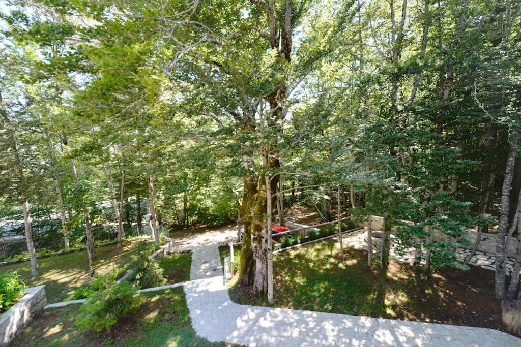 Forest house view 3