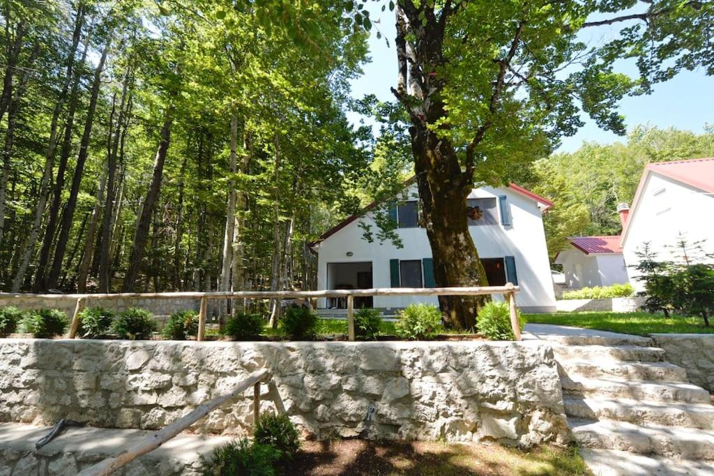 Forest house view 4