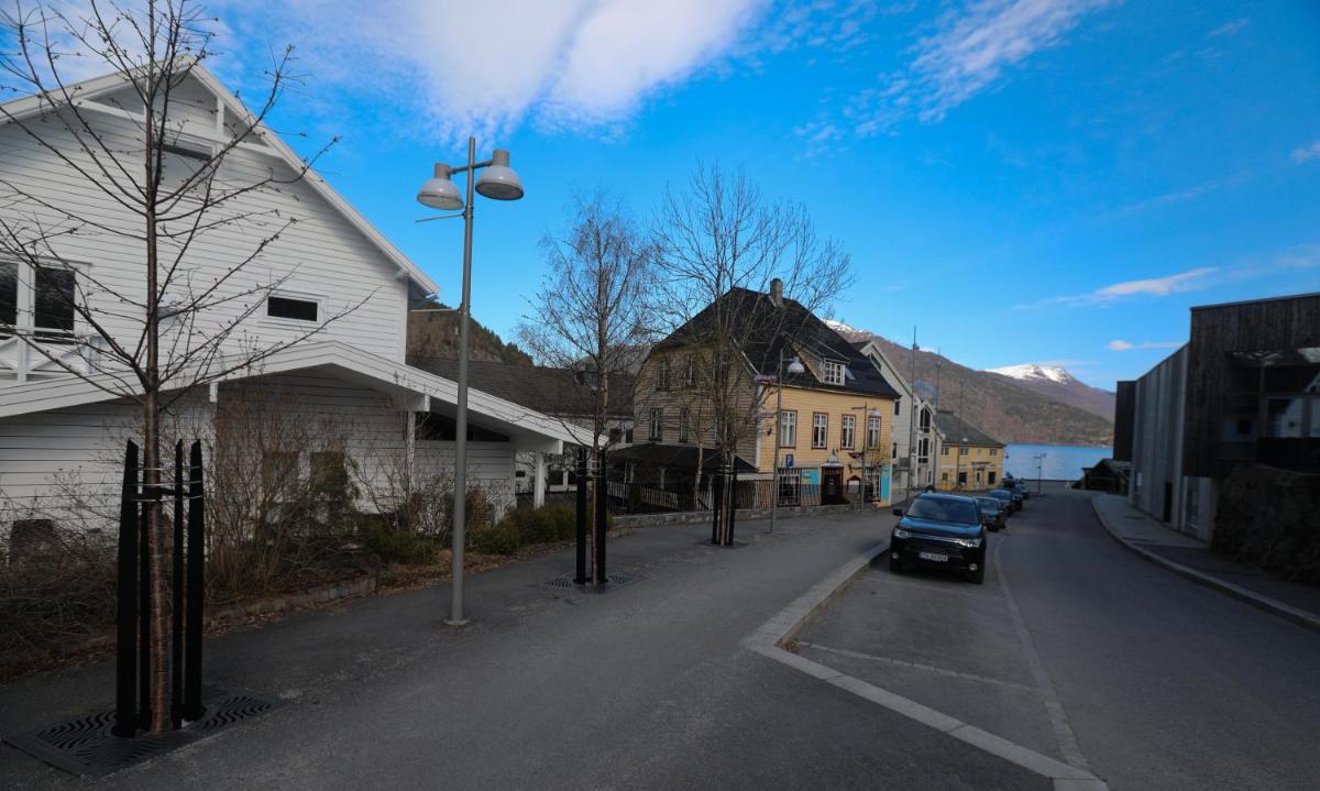 Svingen Apartments view 5