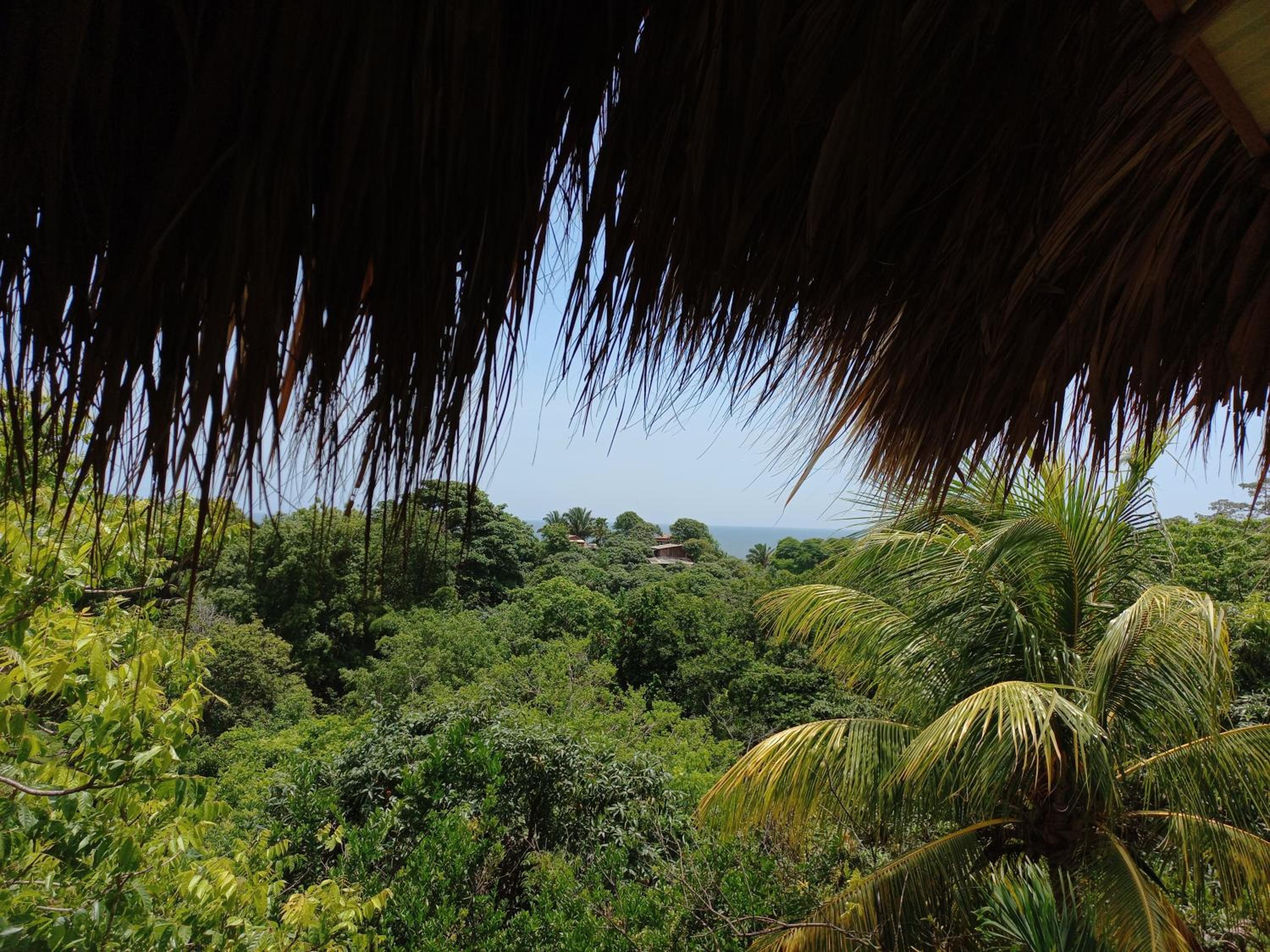 Magdalena Beach House view 4