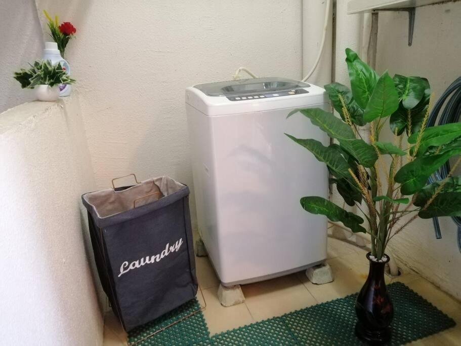 Photo 51