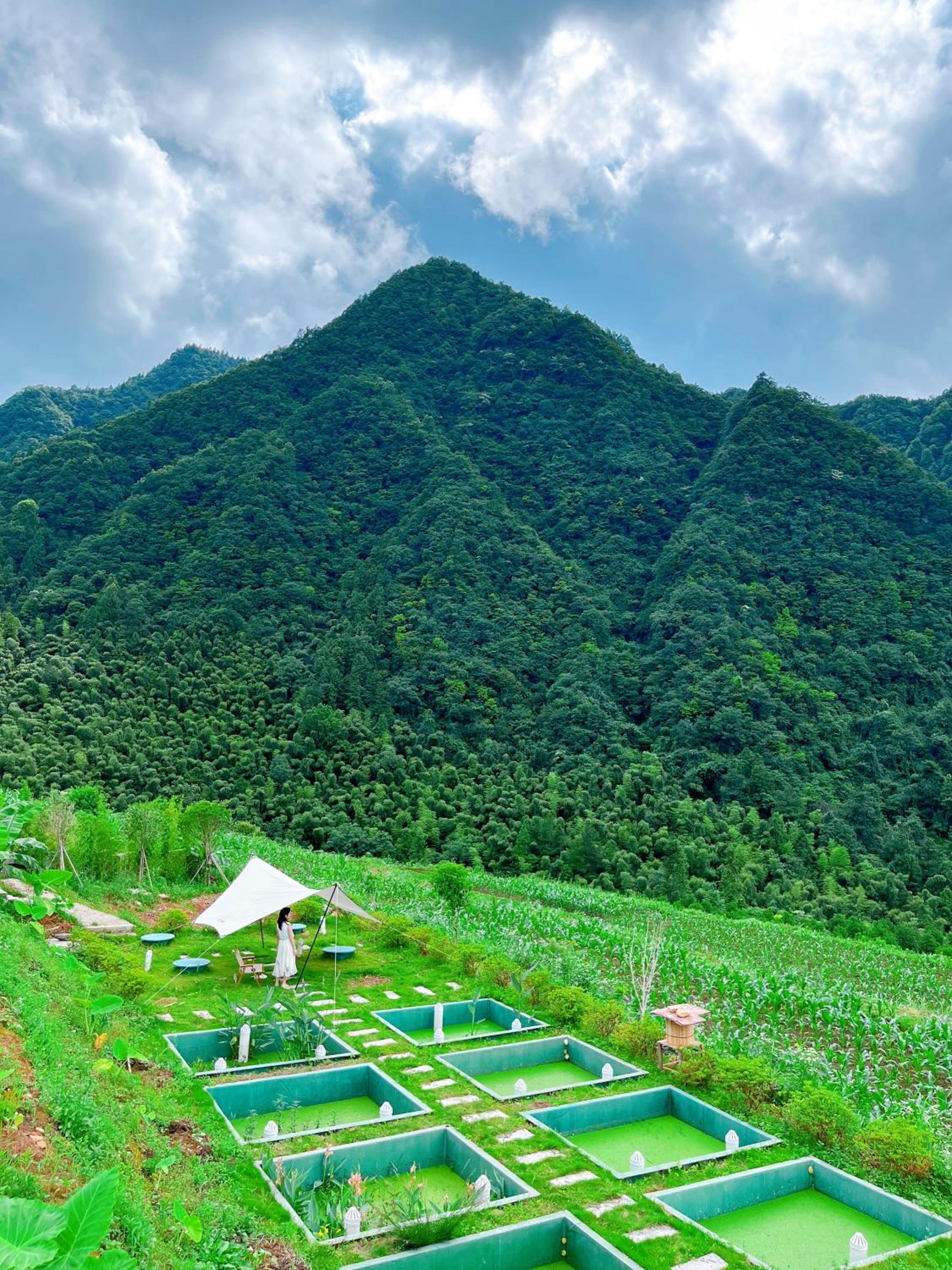 Zhangjiajie national park Purespace --2nights 1free pick-up&book tickets&5min to park