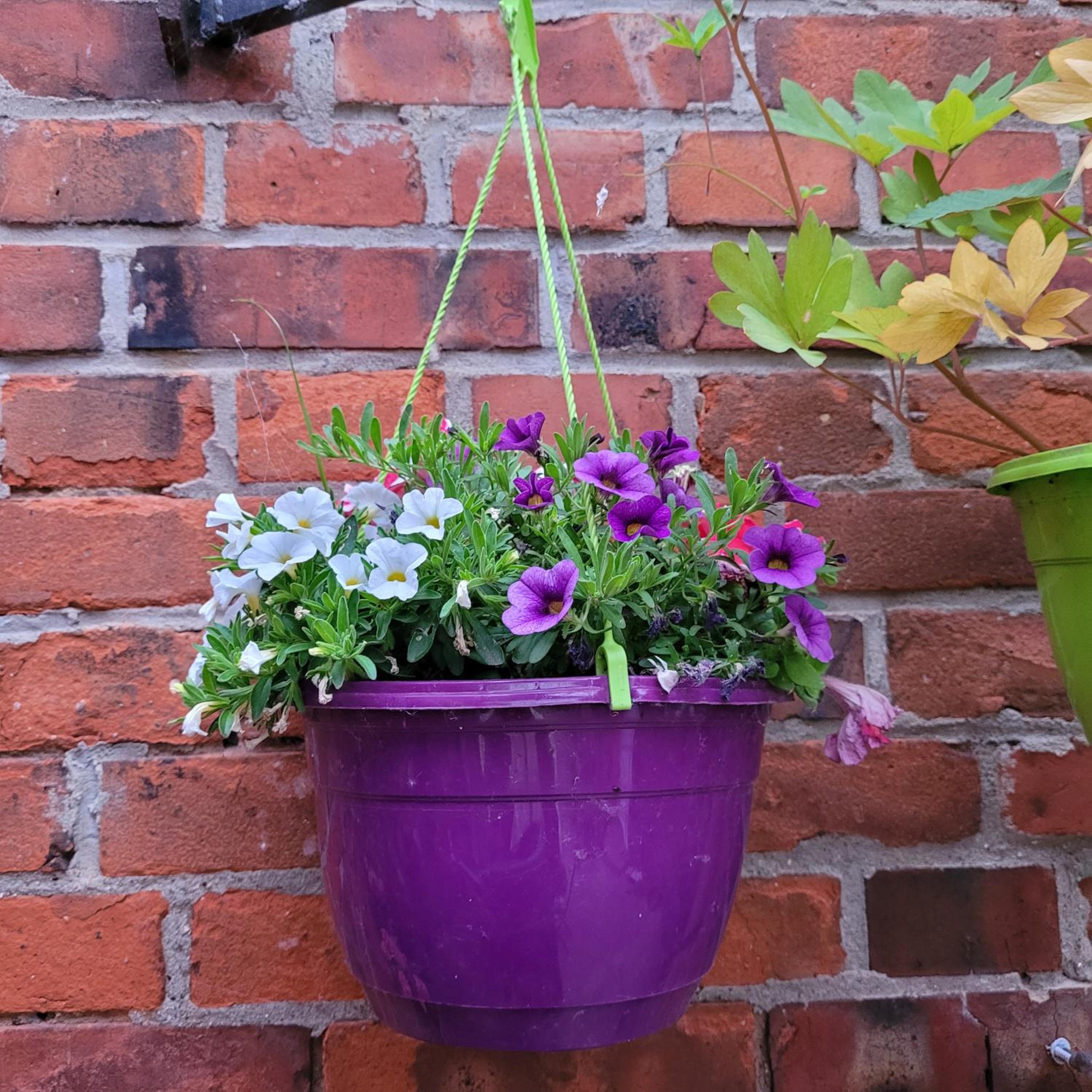 other