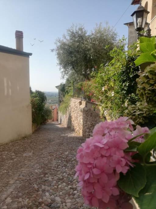 CA'ROSA an Italian experience in the old town view 3
