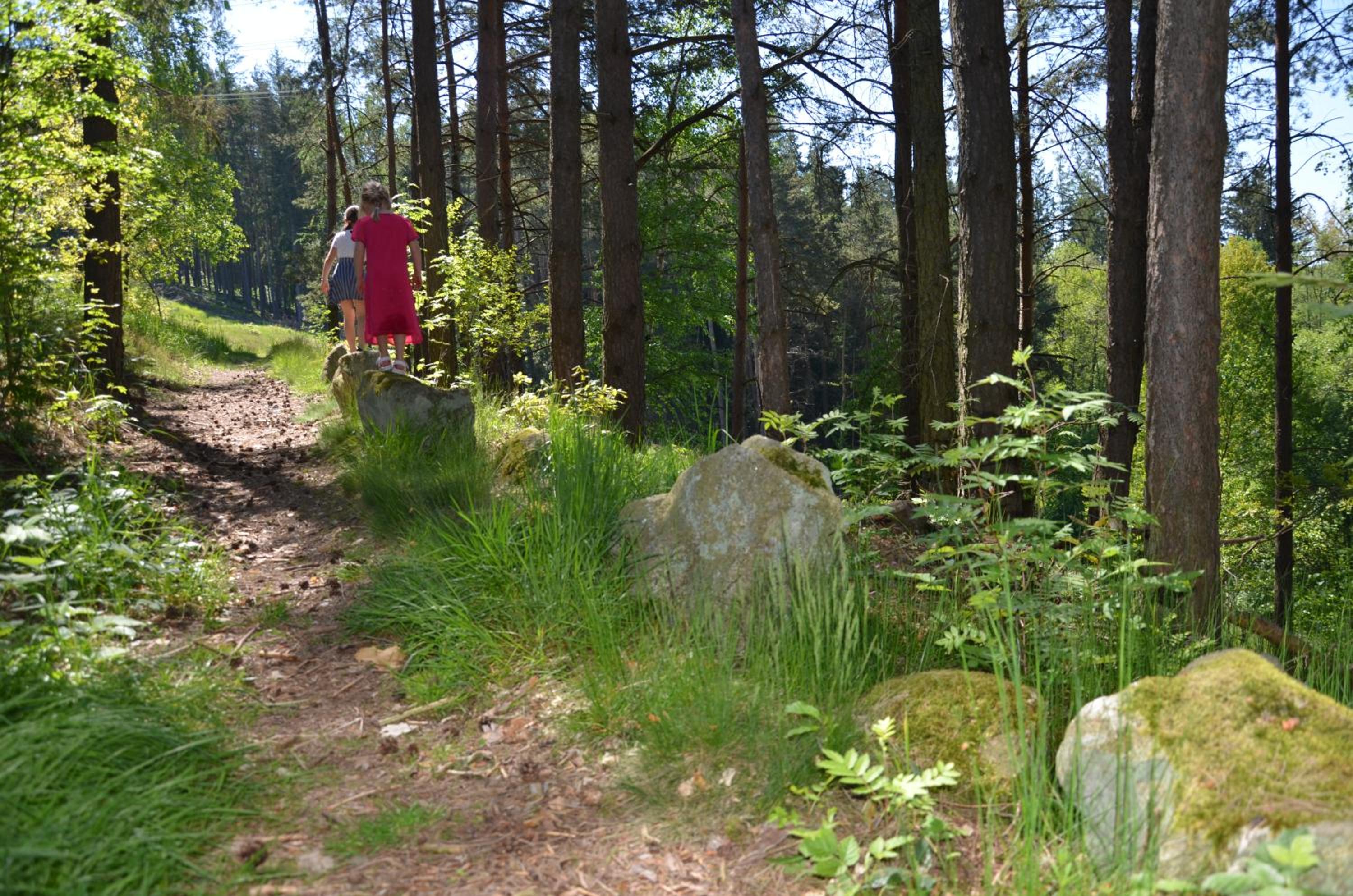 Photo 25
