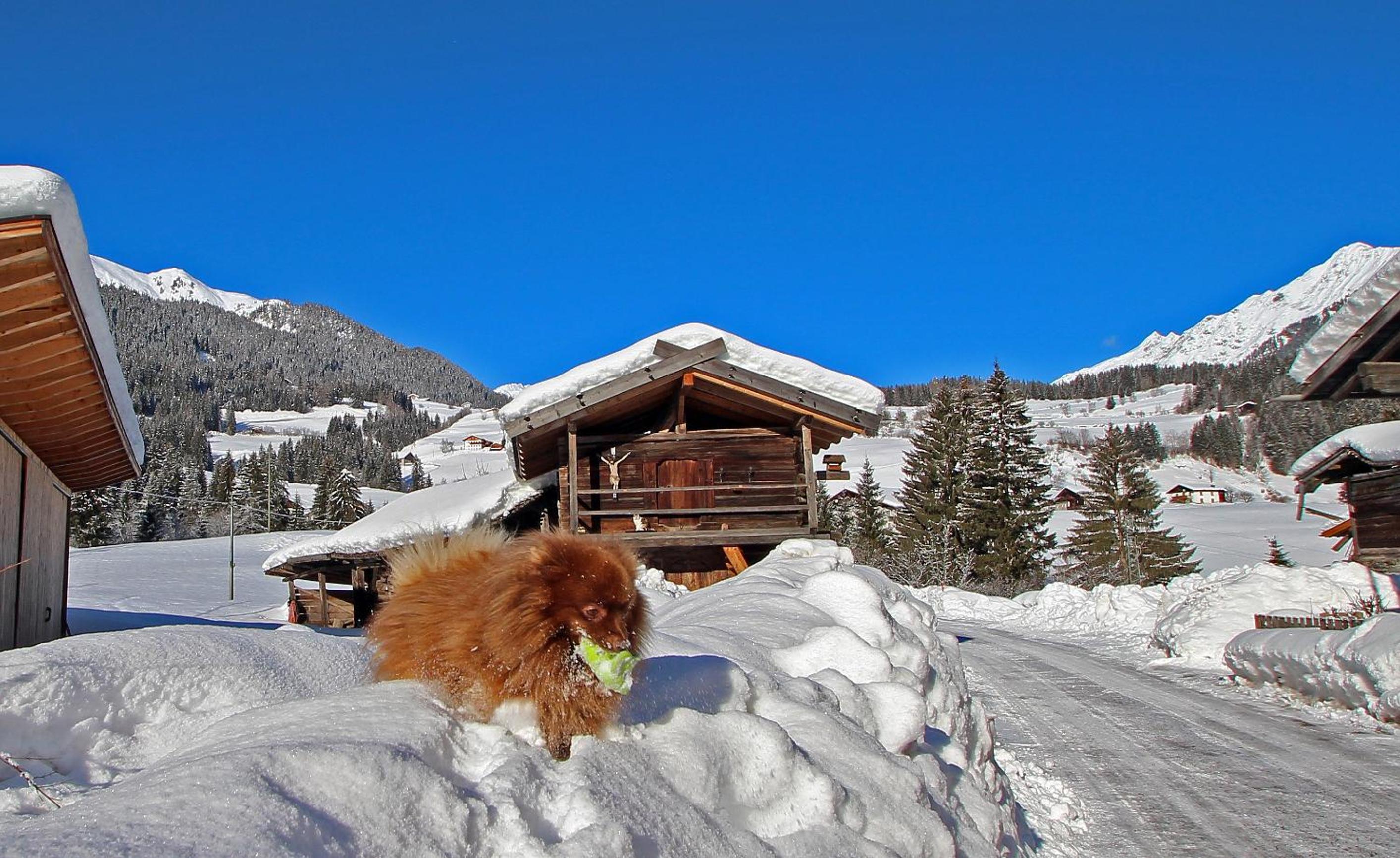 Wurzerhof Ratschings, ruhige Ferienwohnungen am Bauernhof mit Bergblick nahe Wander- & Skigebiet