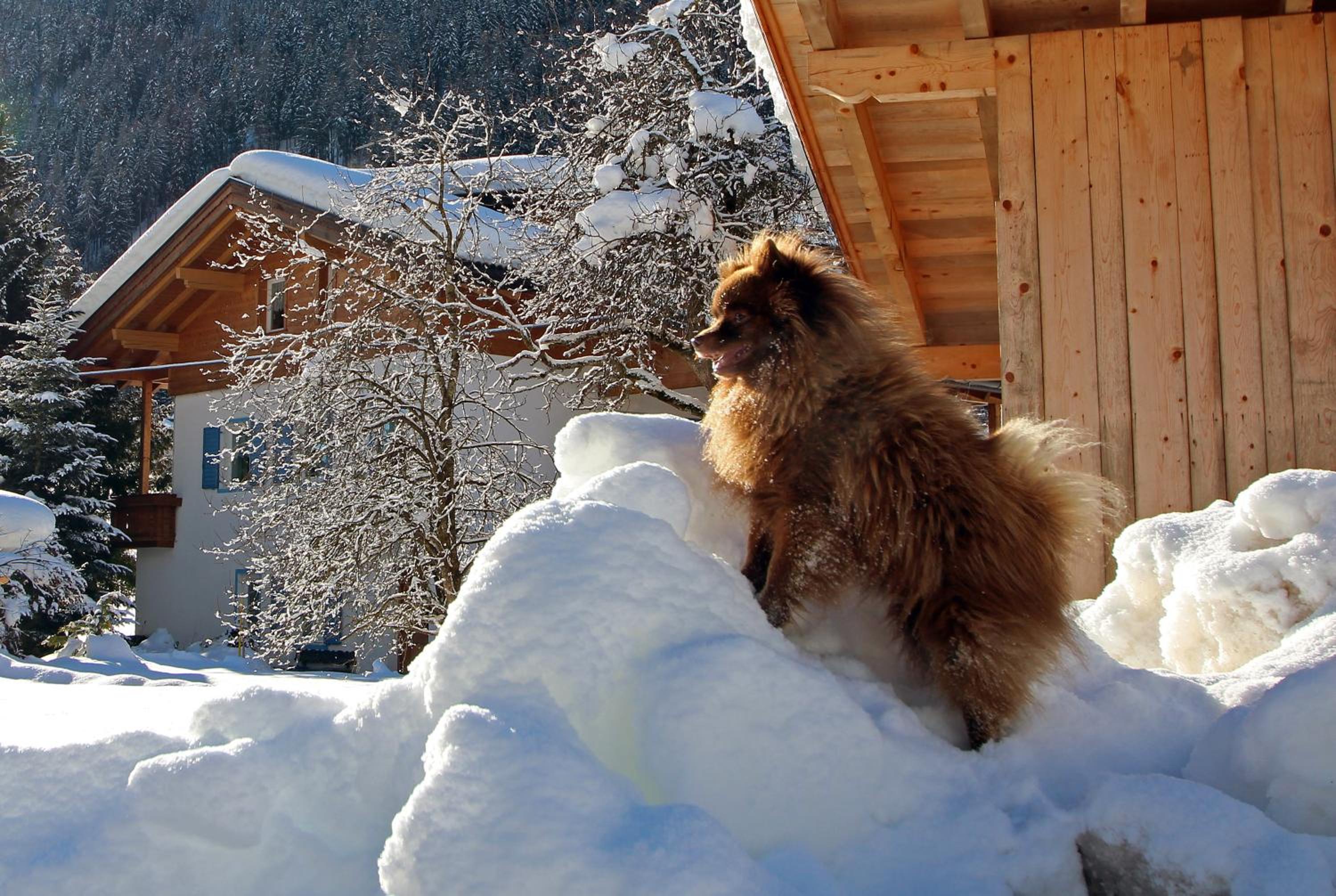 Wurzerhof Ratschings, ruhige Ferienwohnungen am Bauernhof mit Bergblick nahe Wander- & Skigebiet