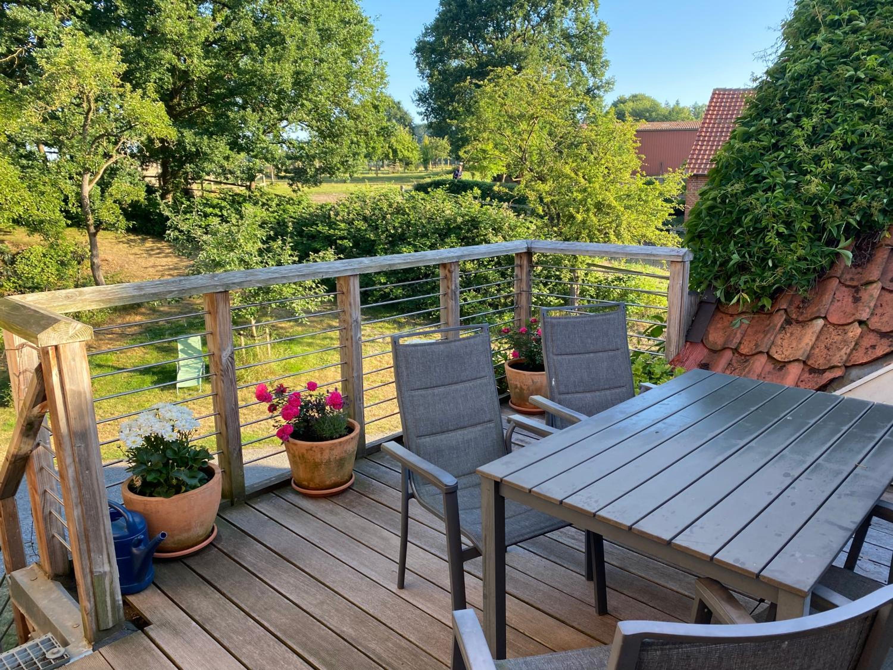 Schwalbennest