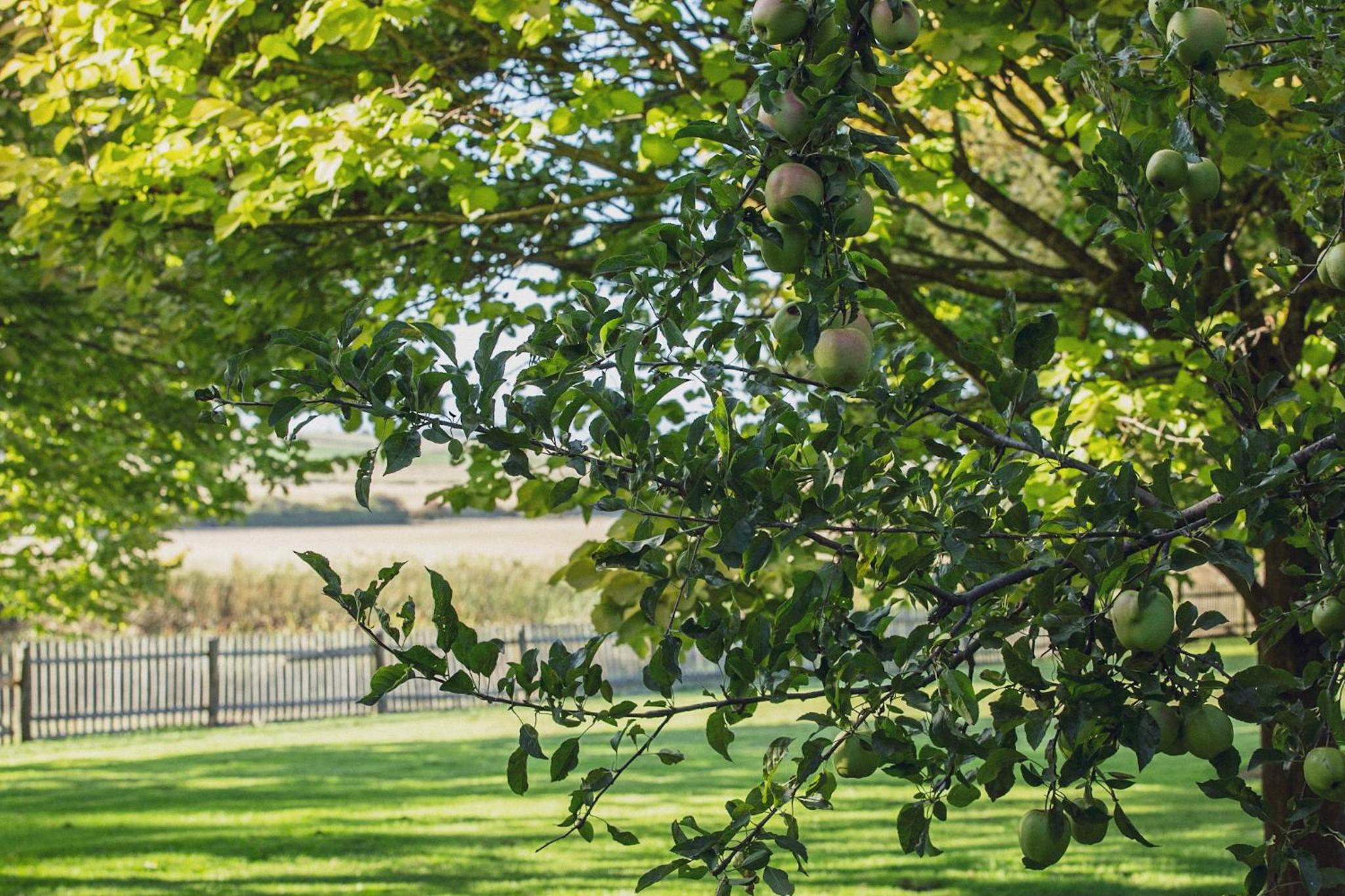 CLAYFIELD HOMESTEAD - rustic country accommodation