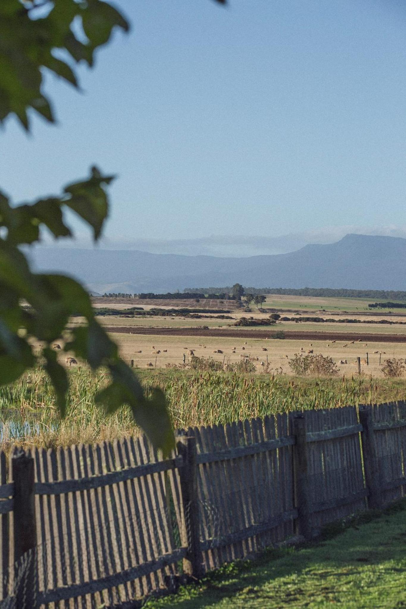 CLAYFIELD HOMESTEAD - rustic country accommodation