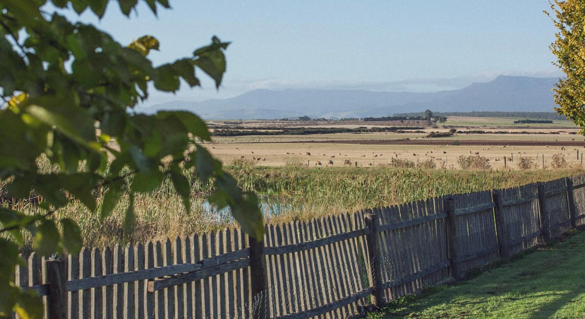 CLAYFIELD HOMESTEAD - rustic country accommodation