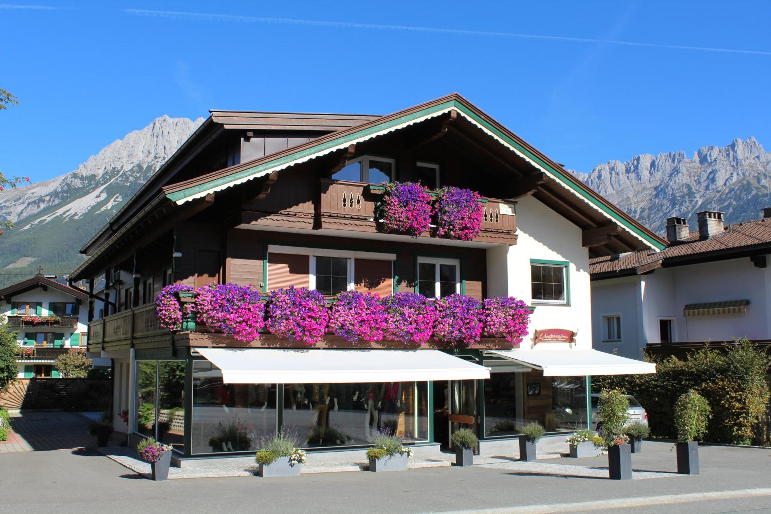 Alpking Hostel view 2