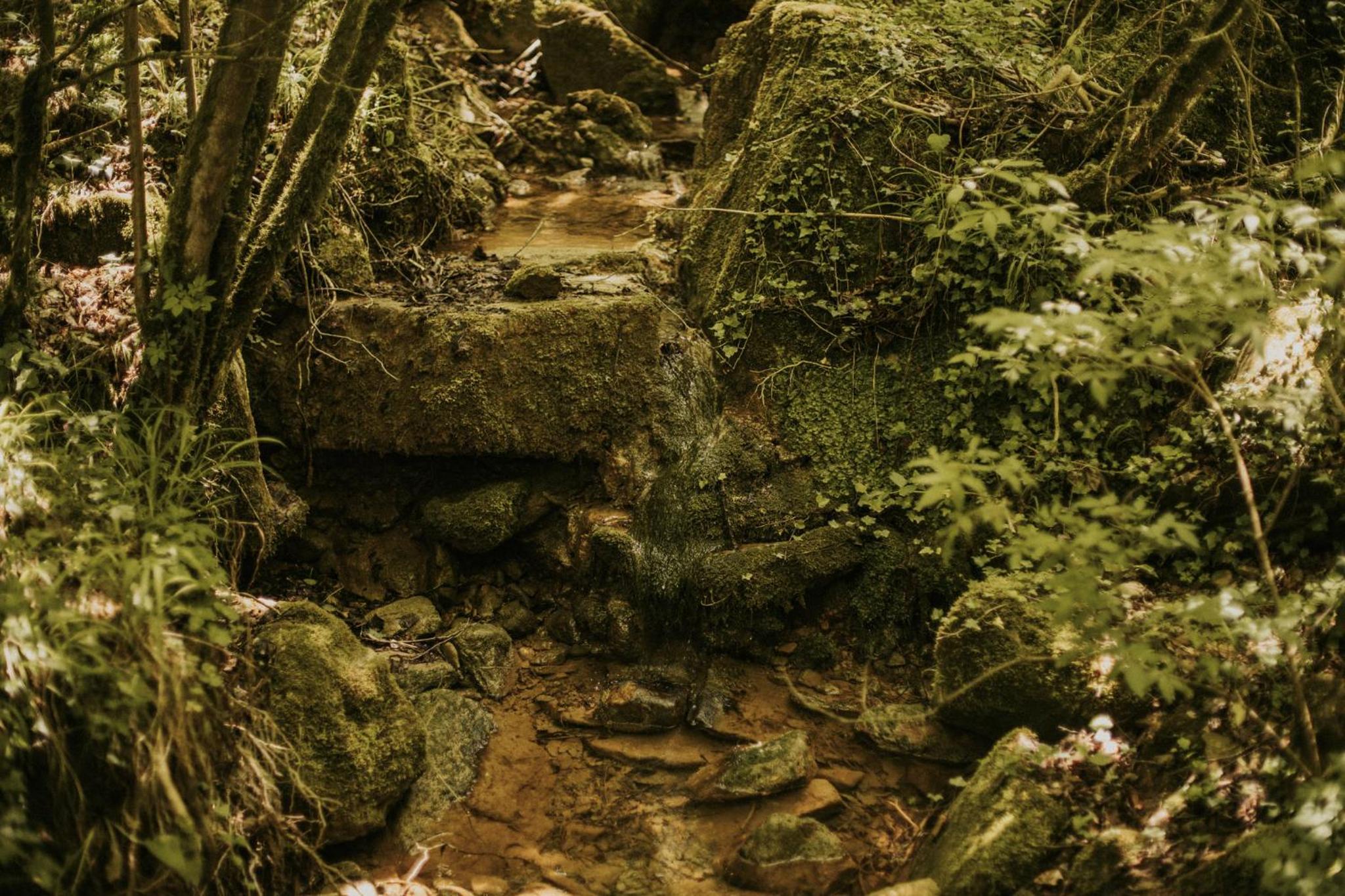 Photo 30