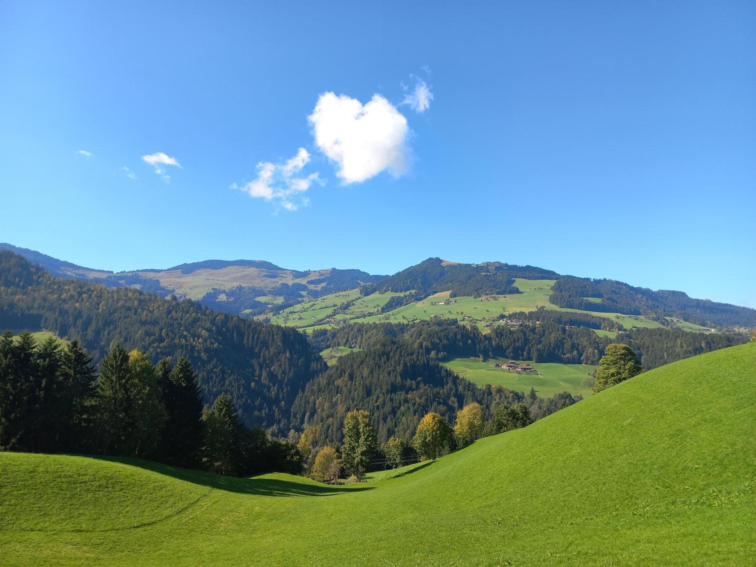 other