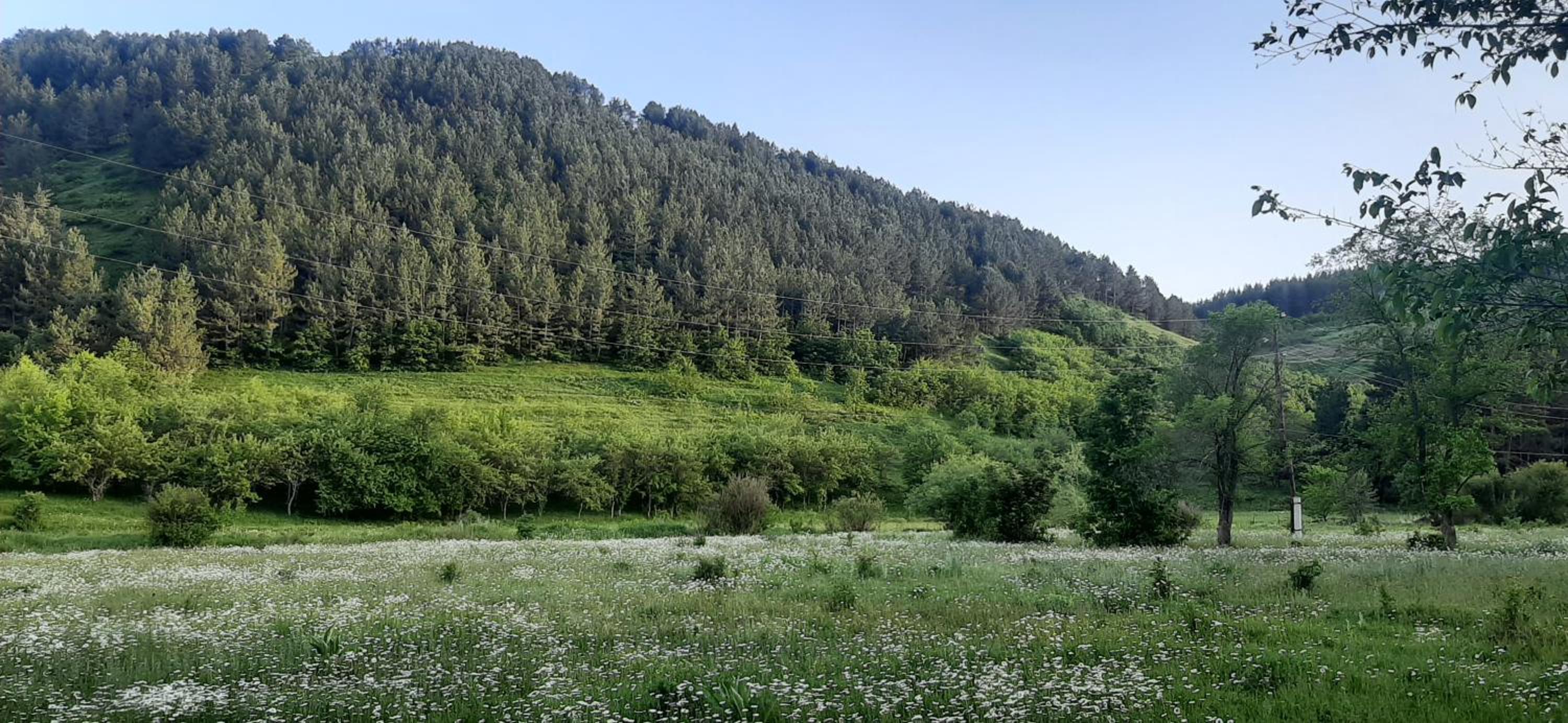 Tsaghkadzor, Kechi House Apartment 7