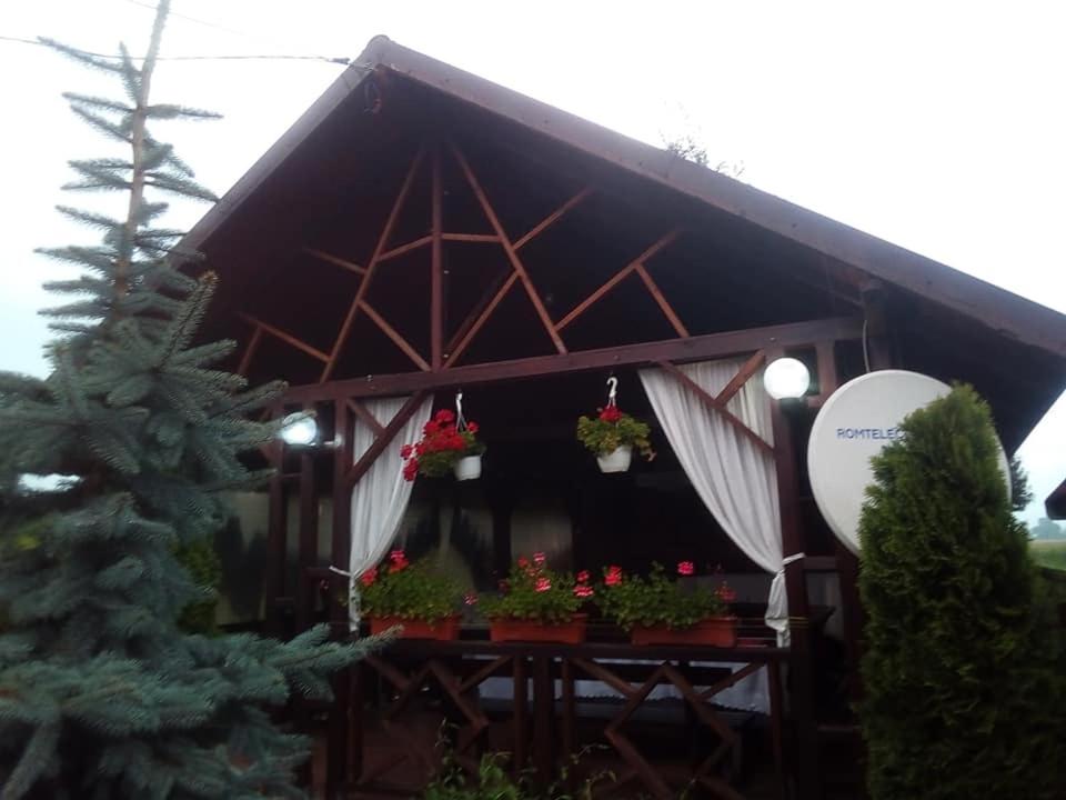 Pensiunea Denisa view 3