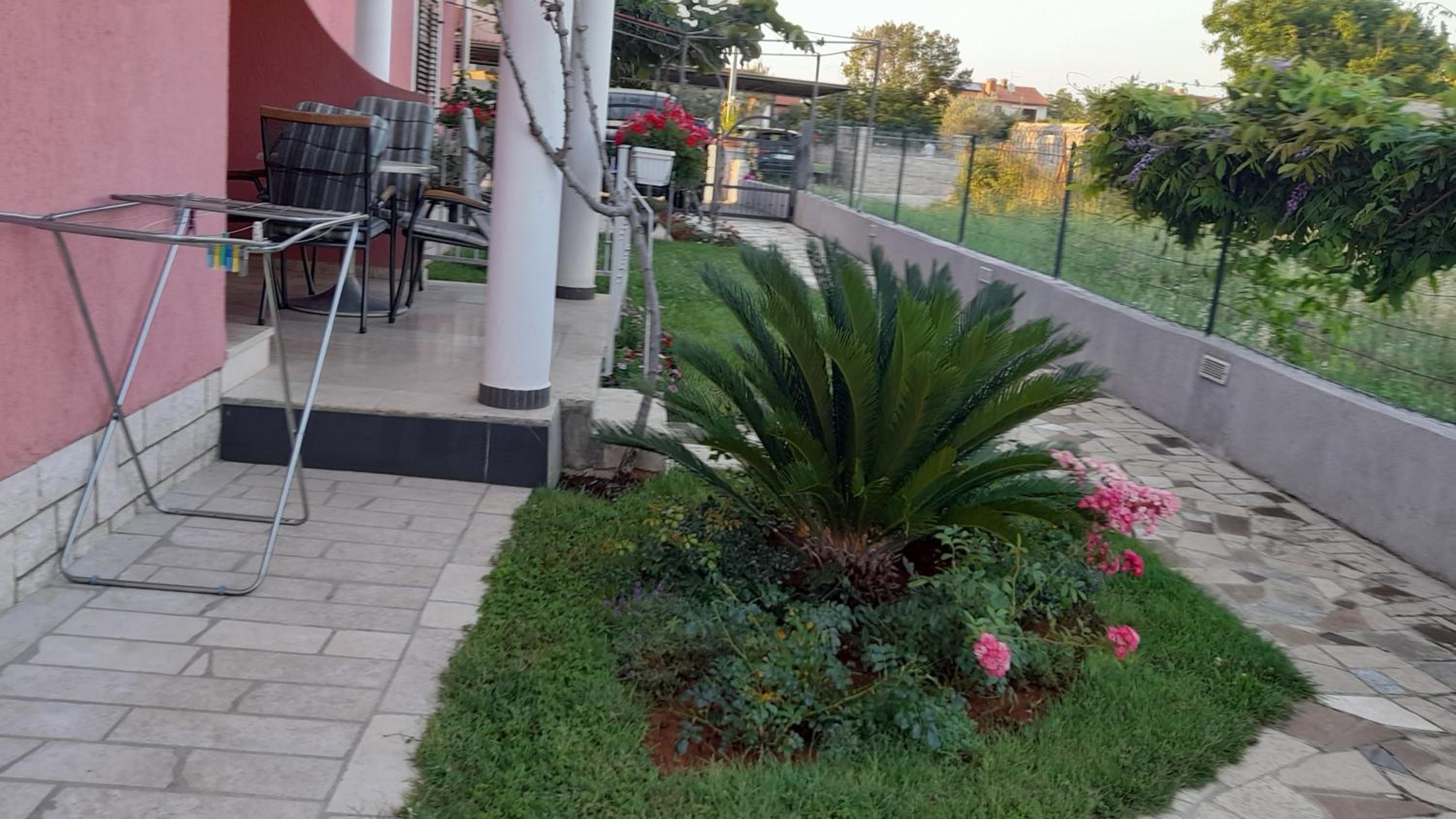 Photo 19