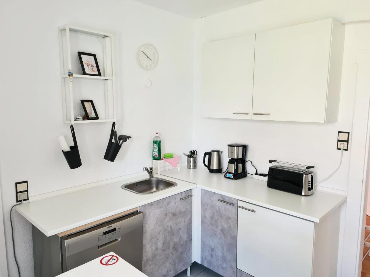 3 room flat with terrace and garden
