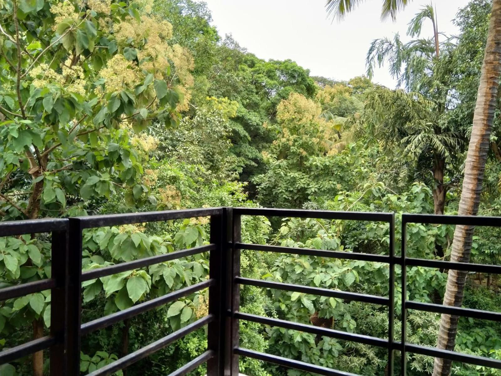 Our Nest - A cozy apartment near Palolem beach with power backup facility view 4