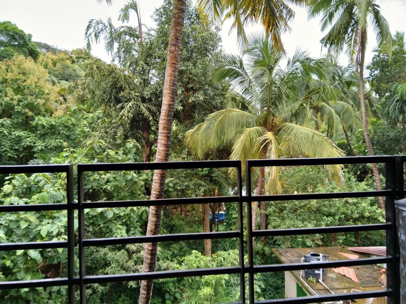 Our Nest - A cozy apartment near Palolem beach with power backup facility view 5