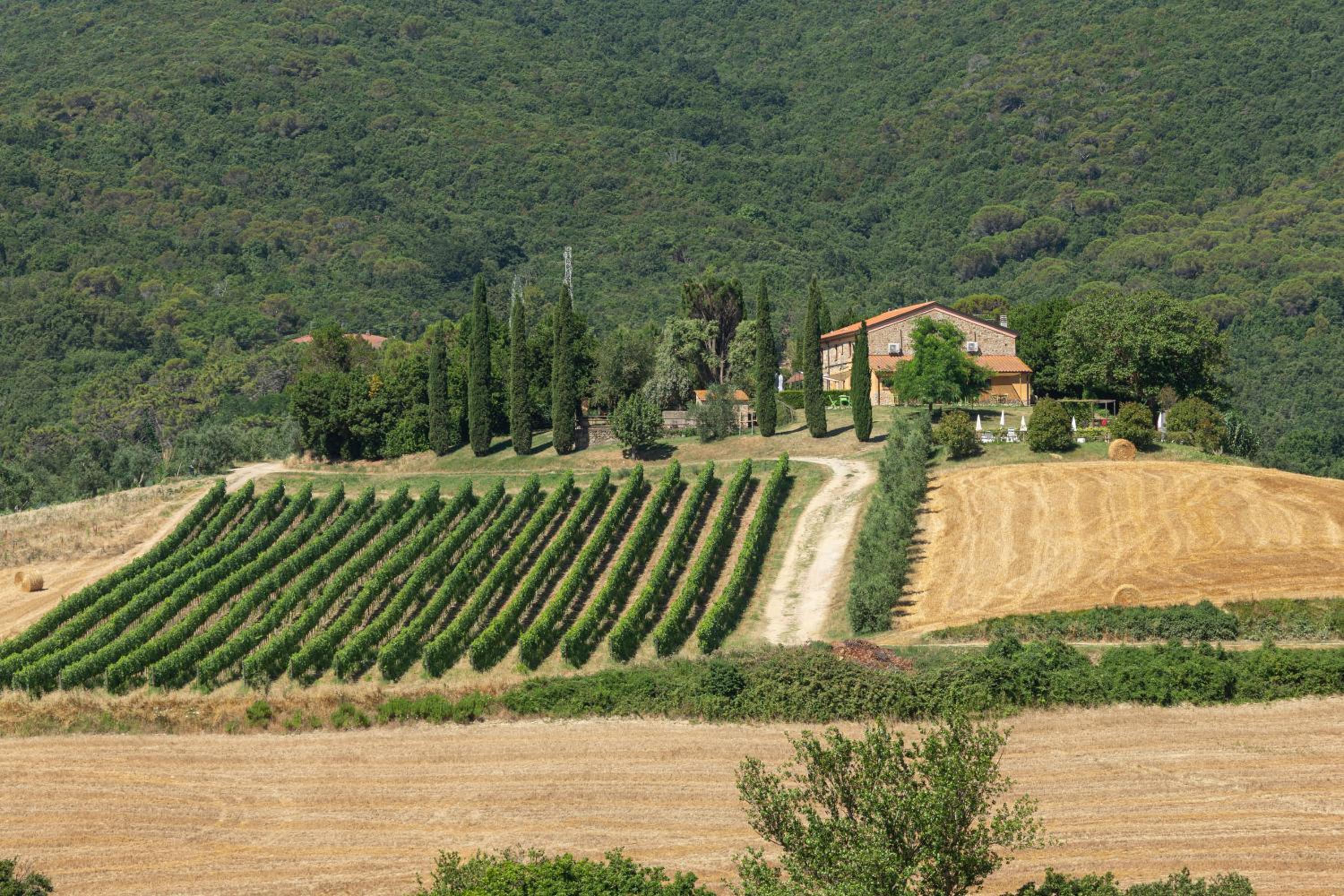 Agriturismo Cappellese