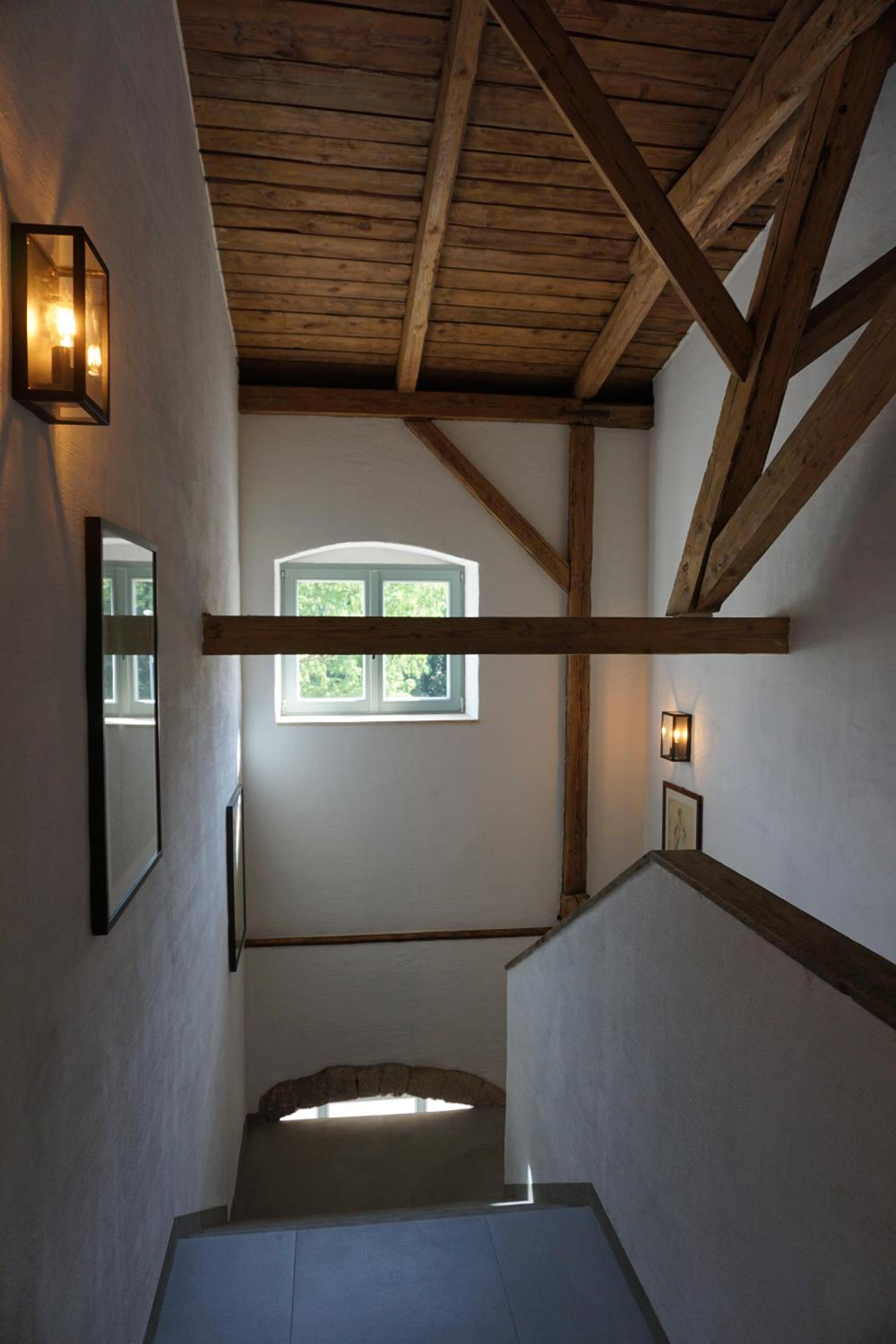 Alte Brennerei Schloss Zehista EG Rittersporn