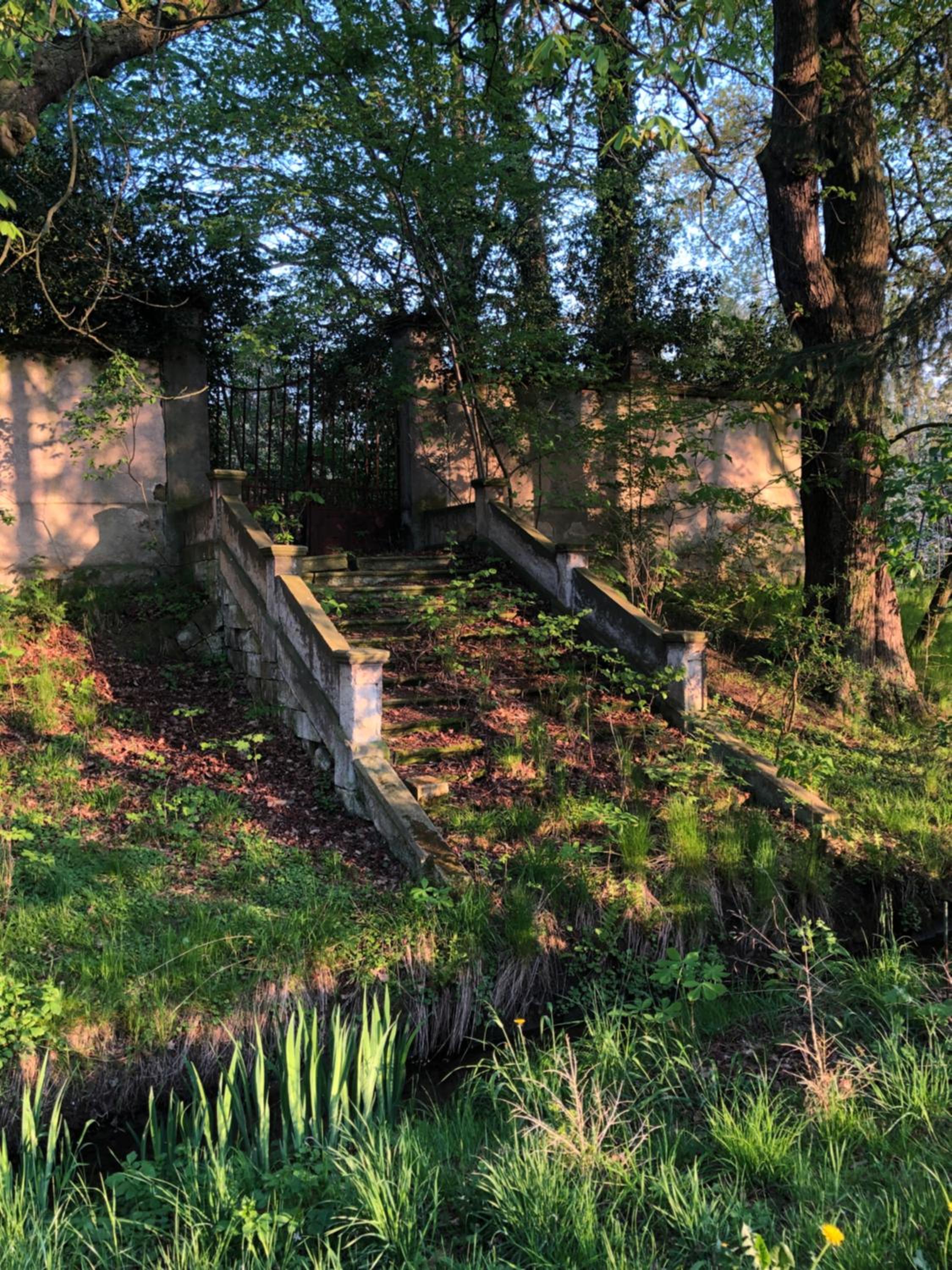 Alte Brennerei Schloss Zehista EG Rittersporn