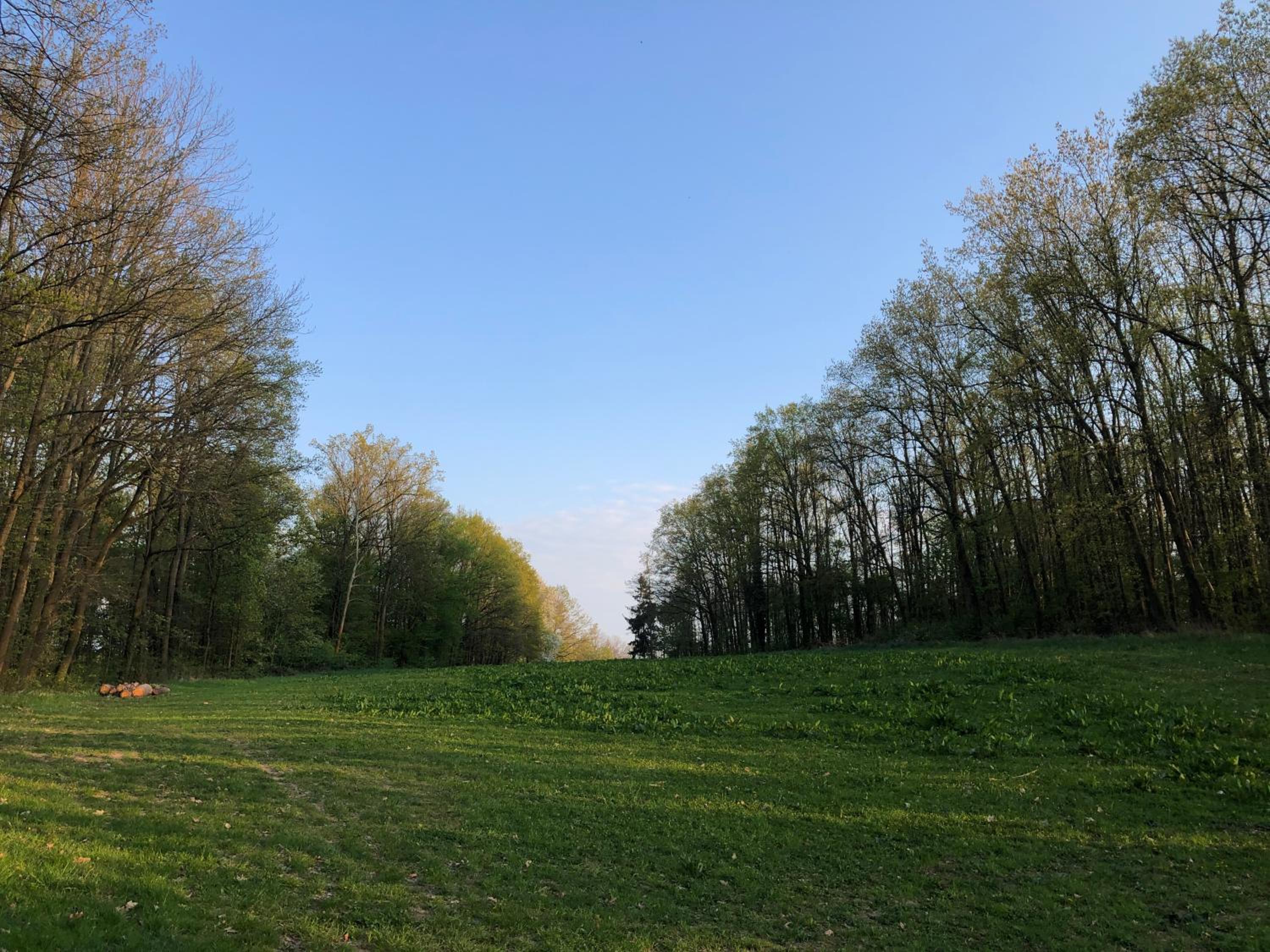 Alte Brennerei Schloss Zehista EG Rittersporn