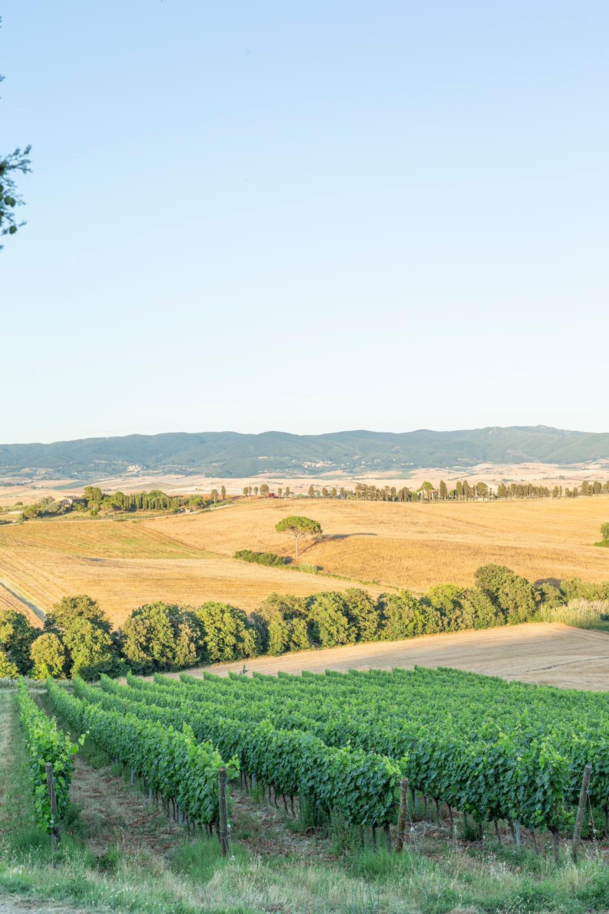 Agriturismo Cappellese