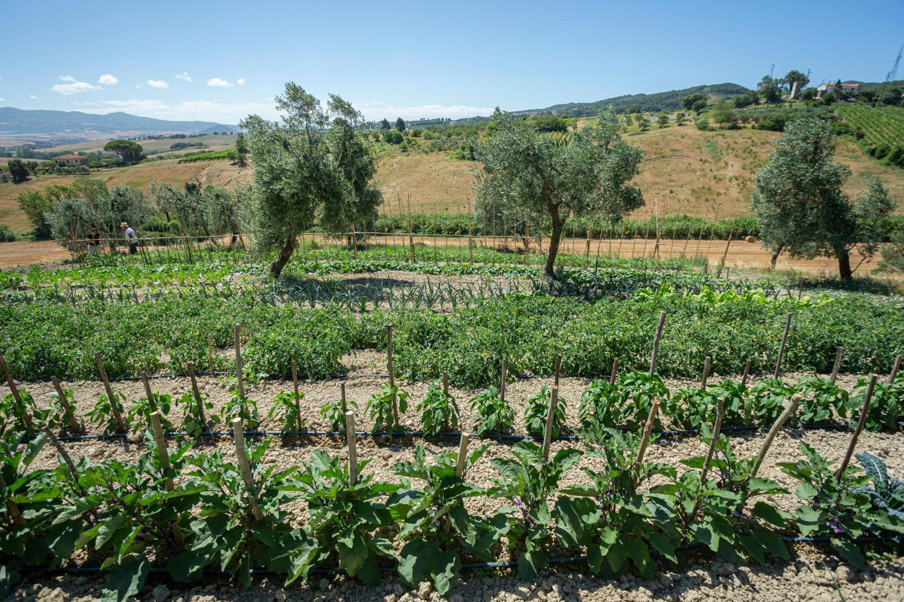 Agriturismo Cappellese