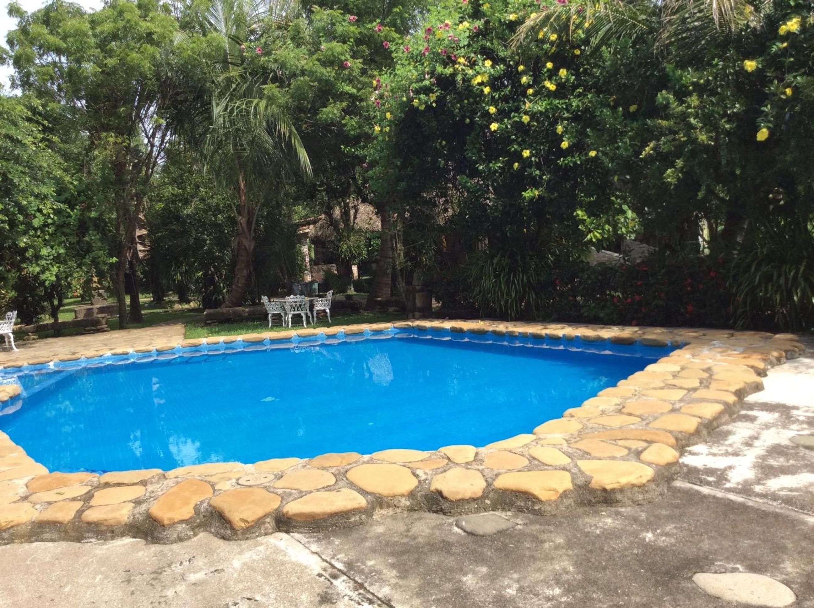 Photo 8