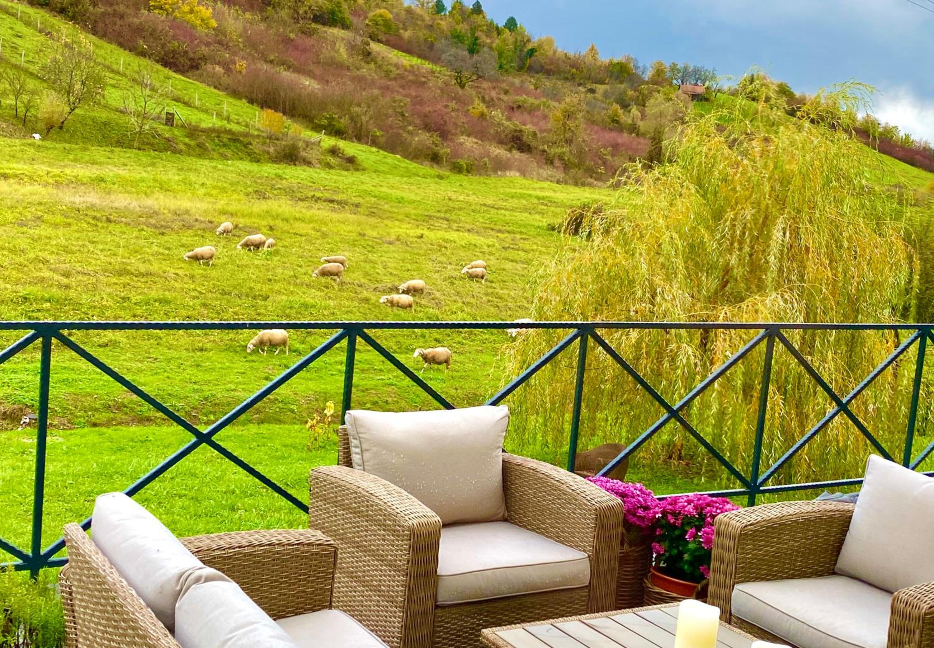 balance & terrace