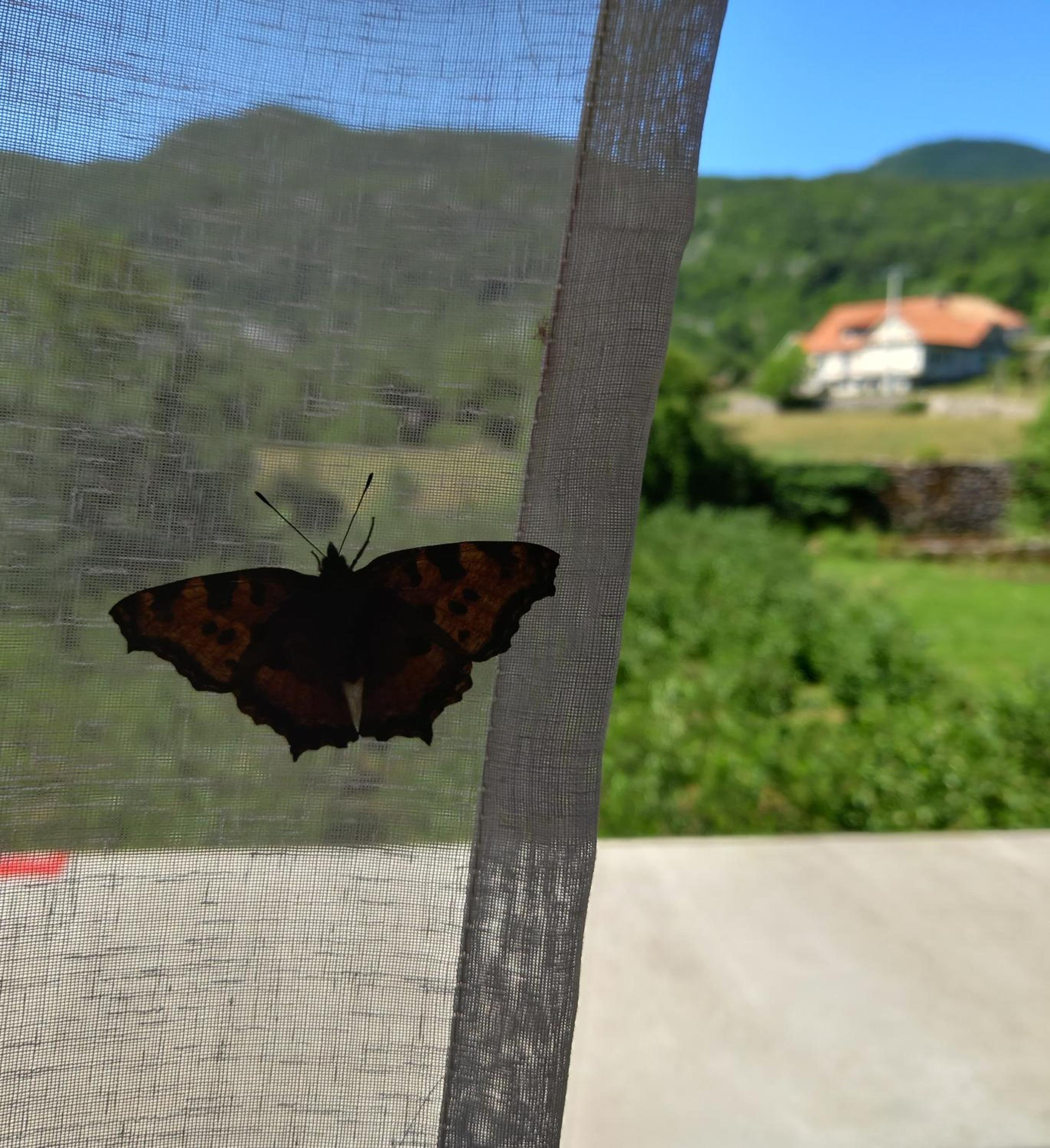 Konak Ugnji-Village view 5