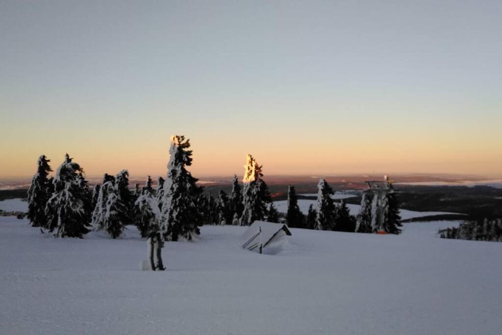 FeWo Bergblick - Oberwiesenthal - Property Image 29