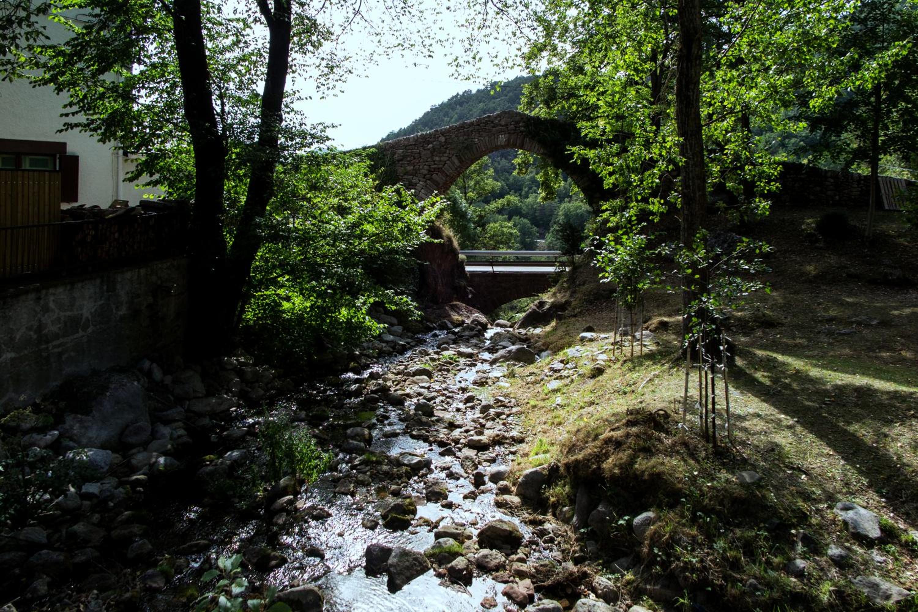 Photo 49