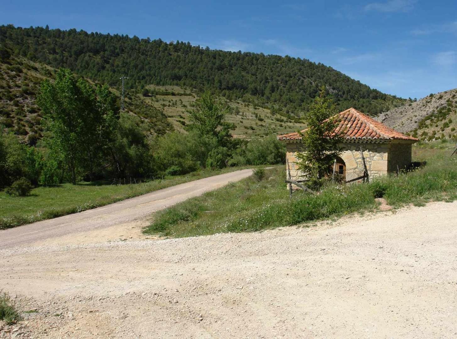 Photo 25